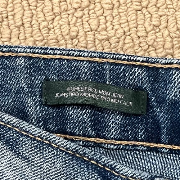 Wild Fable Ripped High Rise Mom Jean - Picture 5 of 5